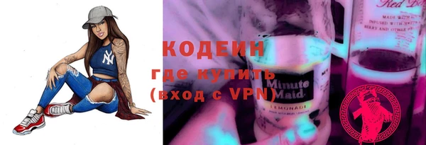 индика Тольятти